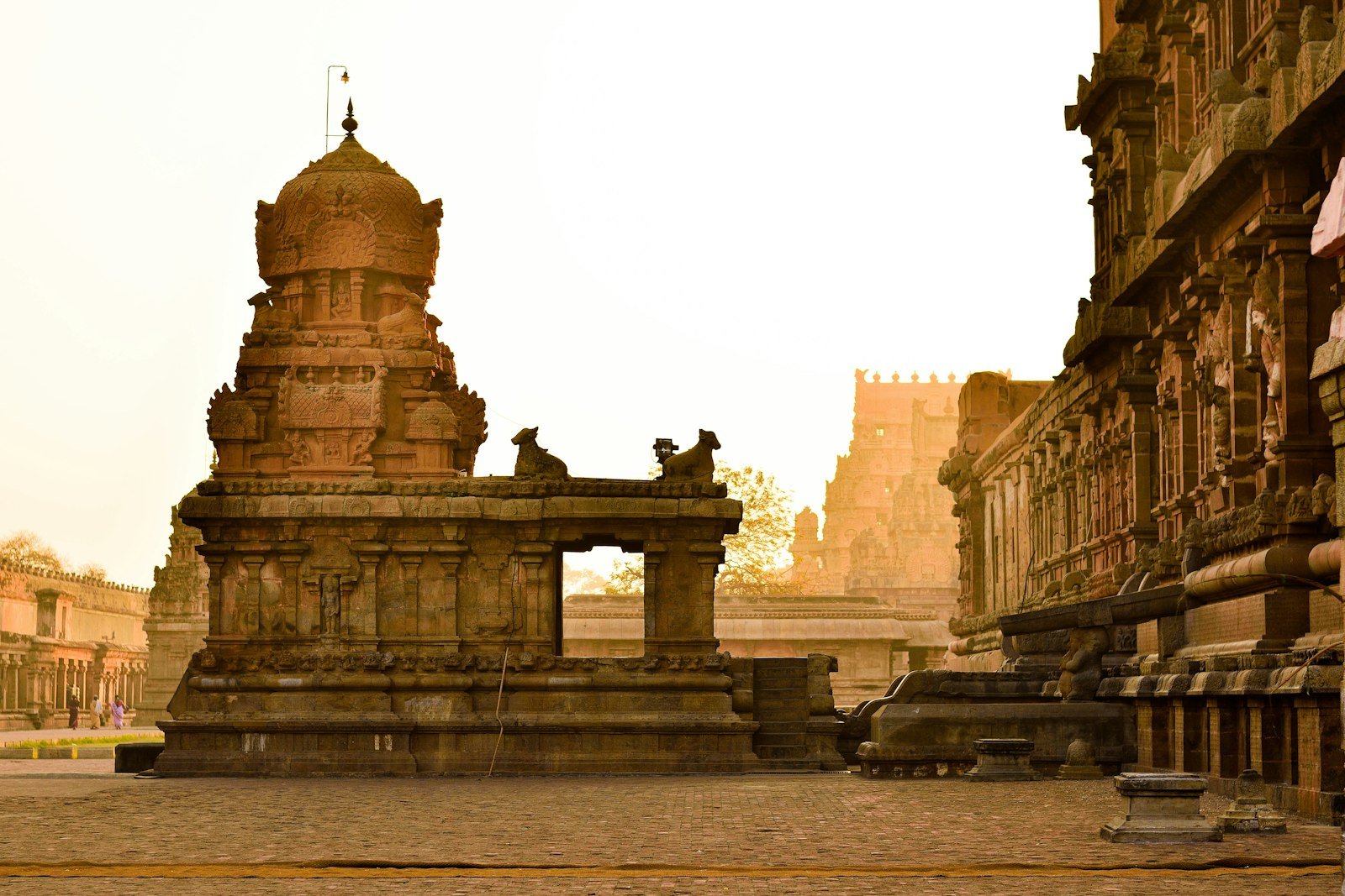 Classic Guided Goa — 3N/4D
