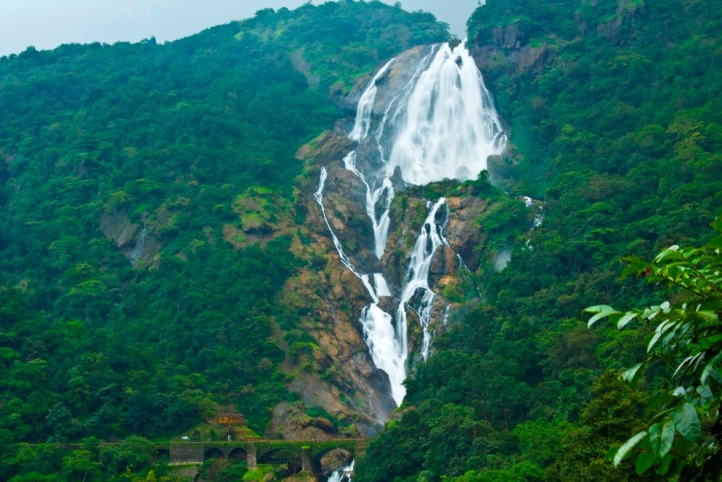 Dudhsagar Waterfall day trip from Goa
