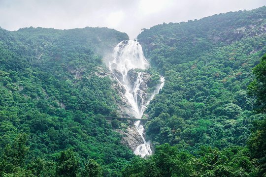 Dudhsagar Waterfall day trip from Goa