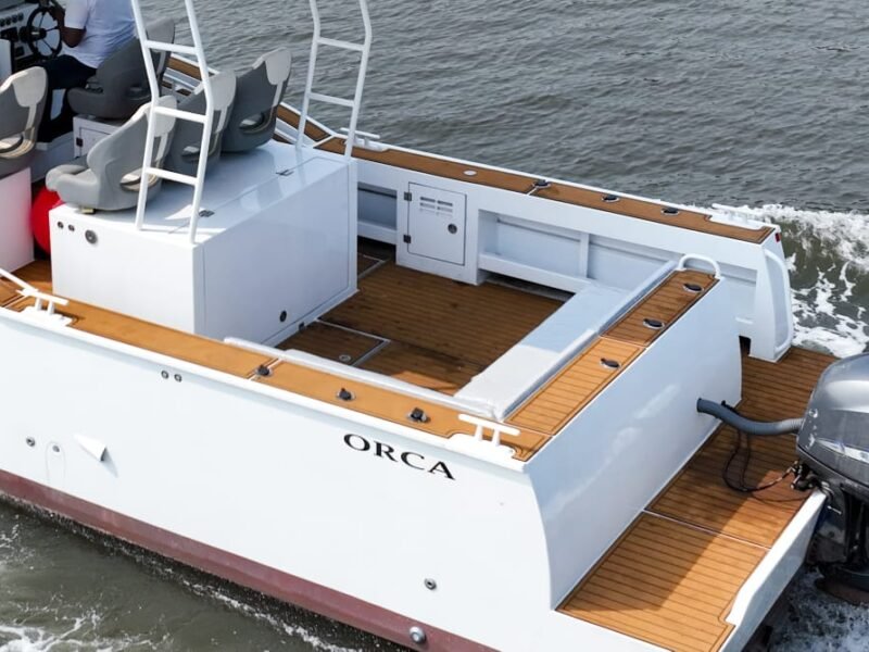 Orca
