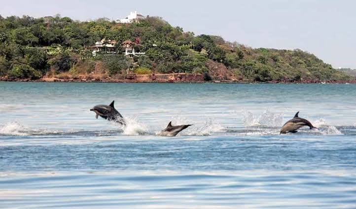 South Goa Sightseeing Tour