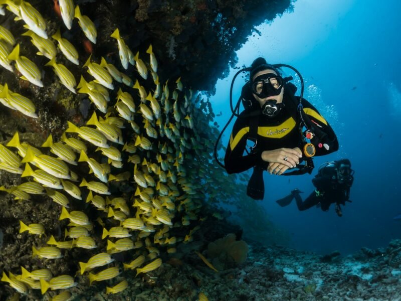 Scuba Diving + Watersports Combo (Grand Island)
