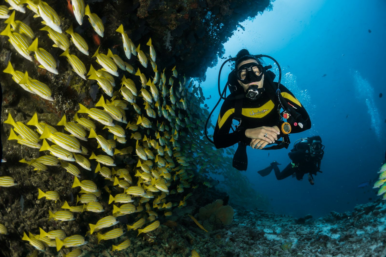 Scuba diving at Grand Island, Goa
